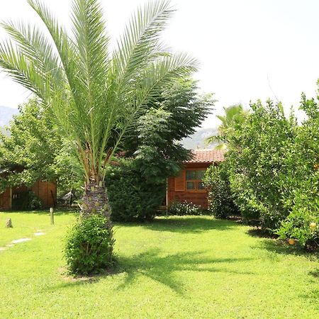 Bed and Breakfast Tunays Pansiyon Çıralı Exterior foto