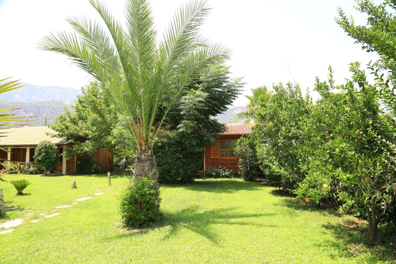 Bed and Breakfast Tunays Pansiyon Çıralı Exterior foto