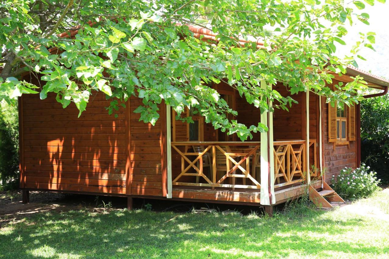 Bed and Breakfast Tunays Pansiyon Çıralı Zimmer foto