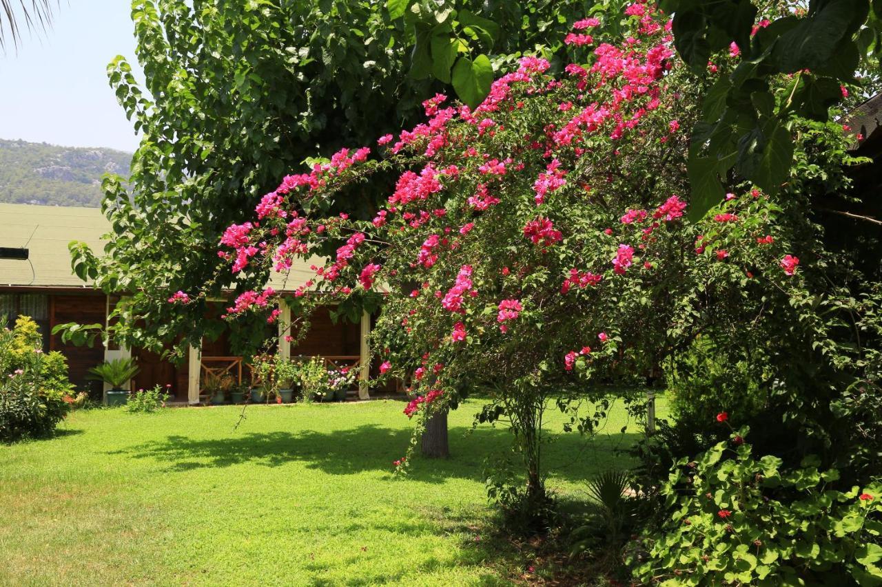 Bed and Breakfast Tunays Pansiyon Çıralı Exterior foto